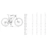 Orbea Oiz H10 29´´ Xt M8100 Sgs Shadow Plus 2026 Mountainbike