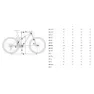 Orbea Oiz M-ltd 29´´ Xx Eagle Sl Axs 2026 Mountainbike, Diamond carbon view matt / cherry red gloss, M
