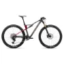 Diamond carbon view matt / cherry red gloss
