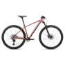 Orbea Onna 20 29´´ Cues U6000 Gs Shadow 2025 Mountainbike