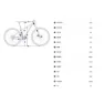 Orbea Onna Jr 50 27.5´´ Tourney Tx800 2025 Mountainbike