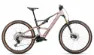 Hersteller-desert rose-carbon raw (matt)