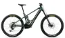 Orbea WILD M20 Forest Green 29" 750 Wh Diamant, Dunkelgrün, L