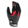 Black / red