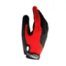 Black / red