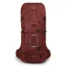 Acorn red