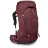 Berry sorbet red