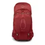 Berry sorbet red