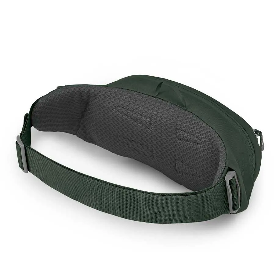 Osprey Daylite Earth 2l Gürteltasche Osprey Daylite Earth 2l Gürteltasche