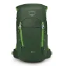 Green canopy / limeline green