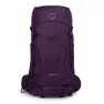Elderberry purple