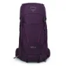Elderberry purple