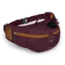 Osprey Savu 2l Gürteltasche