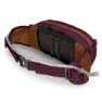 Osprey Seral 4l Gürteltasche