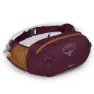 Osprey Seral 4l Gürteltasche