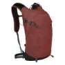 Osprey Sportlite 15 Rucksack, Acorn / bonsai
