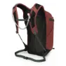 Osprey Sportlite 20 Rucksack, Acorn / bonsai