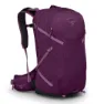 Aubergine purple