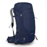Cetacean blue