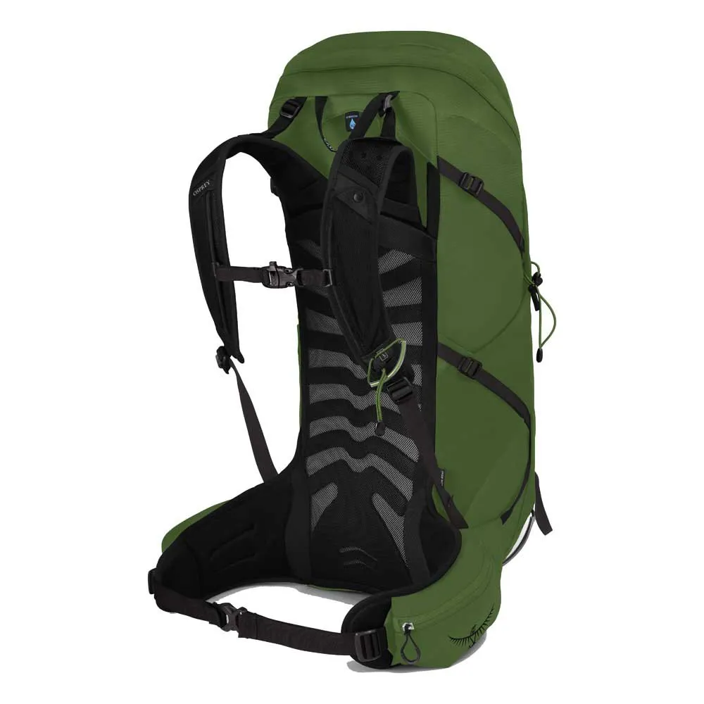 Osprey Talon 36 Rucksack, Green belt / black Osprey Talon 36 Rucksack, Green belt / black
