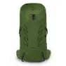 Osprey Talon 36 Rucksack, Green belt / black