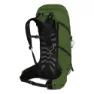 Osprey Talon 36 Rucksack, Green belt / black