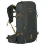 Dark charcoal / tumbleweed yellow