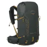 Dark charcoal / tumbleweed yellow