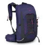Deep fig / hotspot pink