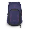 Deep fig / hotspot pink