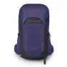Deep fig / hotspot pink