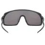 Out Of Rams Smoke Sonnenbrille, Black, Smoke/CAT3