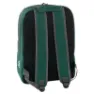 Outwell Cormorant 18l Kühlrucksack, Green, One Size