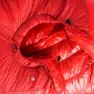 PAJAK Radical 16h Schlafsack