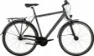 Panther Caraz 3.0 anthrazit matt 2024 28" Diamant, Hersteller-anthrazit matt, 58cm
