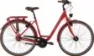Panther Caraz 6.0 matt 2024 28" Wave, Rot, 45cm