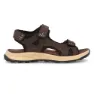 Brown / brown