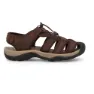 Brown / brown