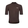 Light brown 2