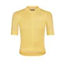 Dusty yellow 1