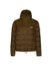 Army brown