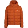 Copper orange 1