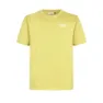 Dusty yellow 5