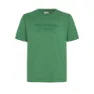 Smoke green 1