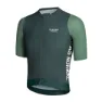 Pas Normal Studios Solitude Midsummer Fahrradtrikot SS23, Grün sleeve