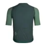 Pas Normal Studios Solitude Midsummer Fahrradtrikot SS23, Grün sleeve