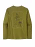 Olive 2