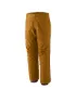 Patagonia Herren Wanderhose Triolet GTX 3L