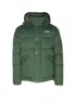 Patagonia Herren Winterjacke Downdrift, Dunkelgrün