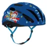Paw Patrol In Mold Junior Mtb-helm